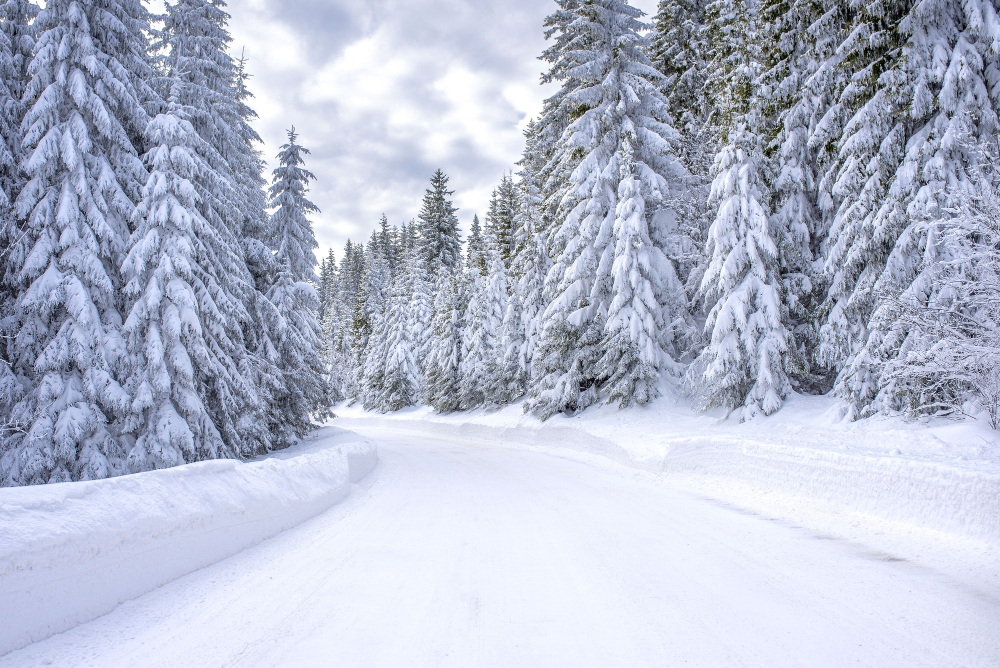 hiver